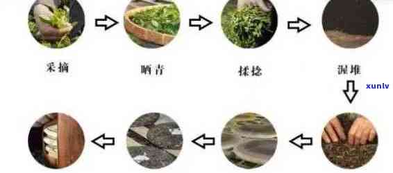 探究普洱茶 *** 的全方位成本分析，从原料到加工全过程的详细解读