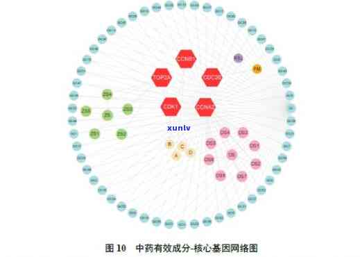 普洱茶中黄曲霉素含量的分析及其对健的潜在影响