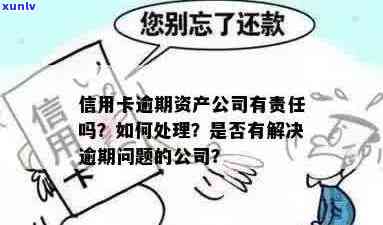 公司破产抵债信用卡逾期怎么办？