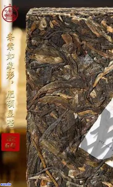 普洱茶雨节保存技巧：如何长时间保持品质，防止发霉？