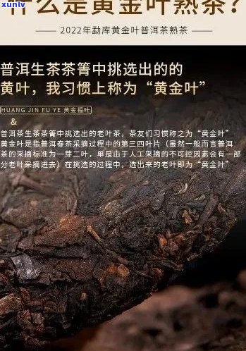 黄金普洱茶的价格及功效