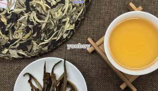 普秀会连臻品普洱茶是否可以一起饮用？如何搭配饮用效果更佳？