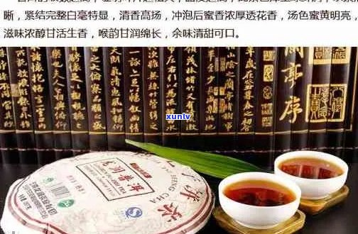 普秀牌普洱茶官网2007年排行及生茶价格表