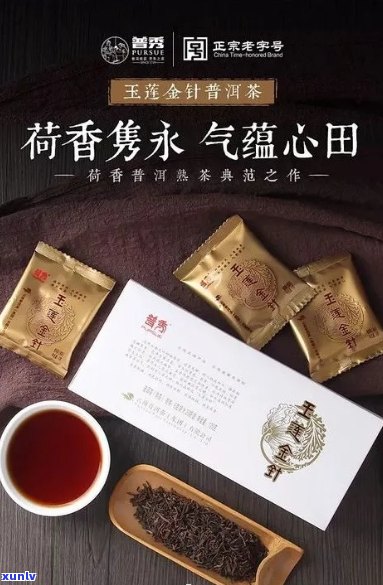 普秀会连臻品普洱茶