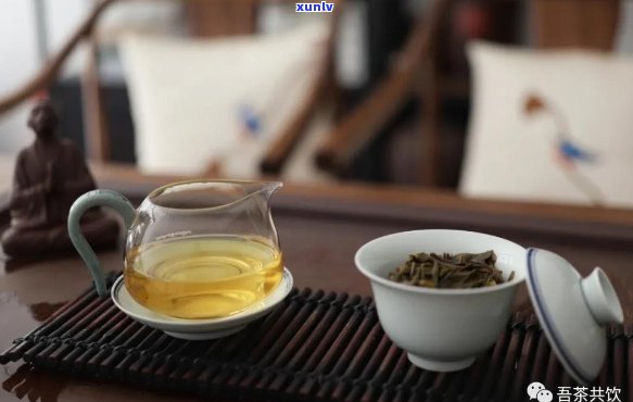 2020年易武普洱茶春茶价格及新茶品鉴：投资与口感的完美结合