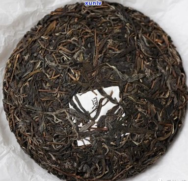 2020年易武普洱茶春茶价格及新茶品鉴：投资与口感的完美结合