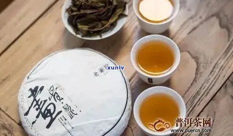 易武春天普洱茶：品质特点、冲泡 *** 与品鉴技巧全面解析