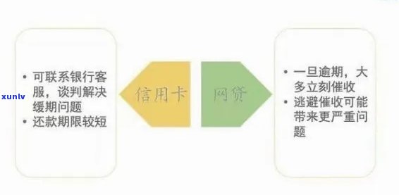 逾期还款风险与信用卡高效利用策略：网贷、信用卡管理全解析