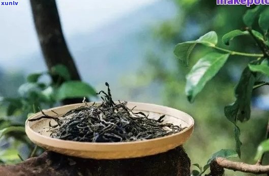 新 '如何去除普洱茶中的草味？小窍门大揭秘'