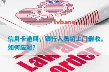 新 '银行信用卡逾期服务：上门解决，高效还款'