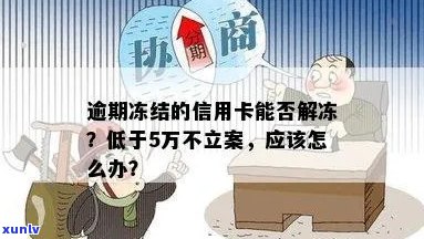 信用卡逾期立案是单张卡冻结吗？解冻 *** 及全卡逾期无力偿还处理