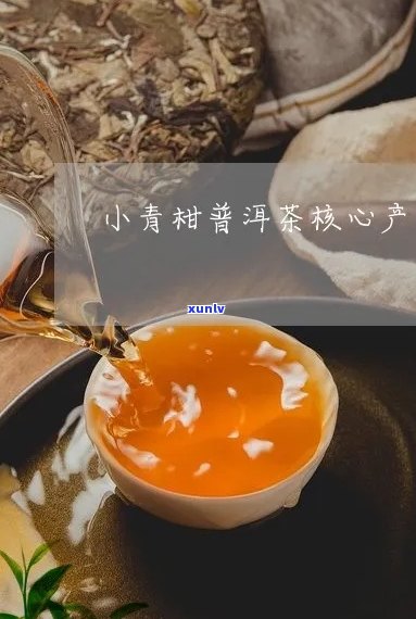 小青柑普洱茶山堂：古树茶香，新派普洱，山堂品质之选