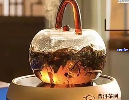 新普洱茶煮不烂的创新解决方案，让你轻松掌握茶艺技巧