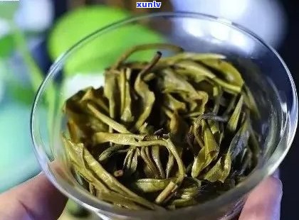 普洱茶冲泡：一次冲泡多少茶叶最合适？