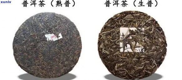 普洱茶最全知识讲解与介绍