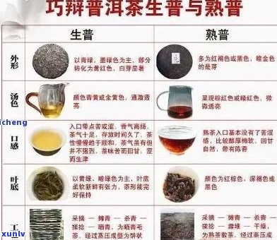 普洱茶最全知识讲解与介绍