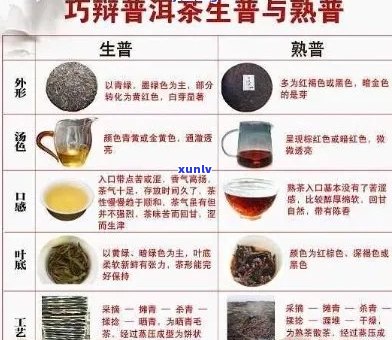 普洱茶百科全书：从种类、 *** 到品鉴，全面解答您的疑问