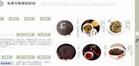 普洱茶百科全书：从种类、 *** 到品鉴，全面解答您的疑问