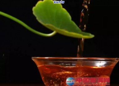 普洱茶的魔力：如何以一杯茶浇灌福树？