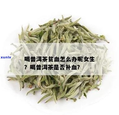 贫血喝普洱茶可以吗