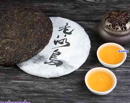 茂昕普洱茶怎么样：评价与体验分享