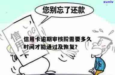 信用卡逾期案件审核时间全面解析：从申请到批准所需步骤及预期等待时长