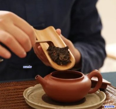 普洱茶试茶 *** 与记录：制霸茶界的试茶宝典