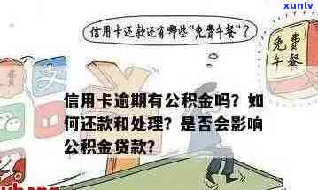 住房公积金信用卡逾期还款指南：如何应对、解决 *** 和预防措