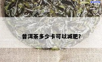 一斤普洱茶能瘦多少