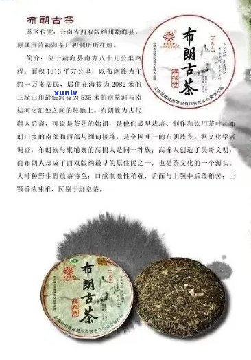 普洱茶发展的起源和简述