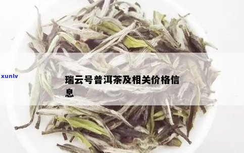 新了解翡翠貔貅价格，从选购到收藏全方位指南