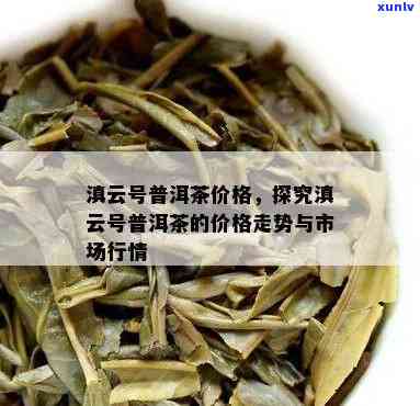 滇云号普洱茶价格表