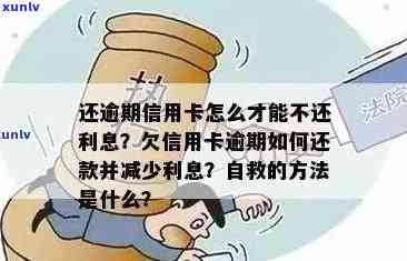 信用卡逾期还款攻略：如何申请期避免罚息和信用损失？