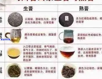 普洱茶四个基本常识及相关问题的全面解答