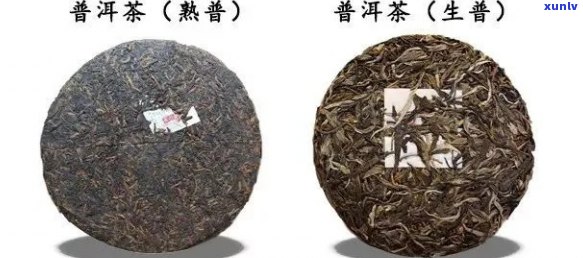 普洱茶四个基本常识及相关问题的全面解答