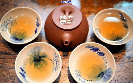 普洱茶四个基本常识