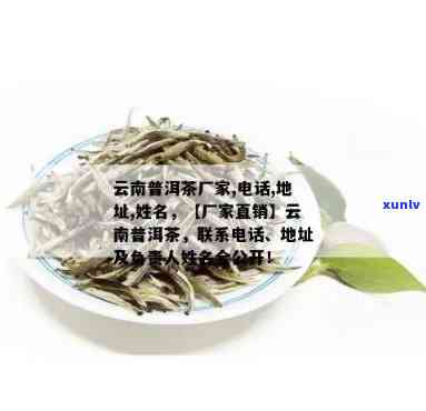 云南普洱茶集团联系 *** 、普洱茶公司 *** 、普洱茶集团联系方式