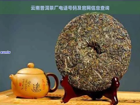 普洱茶联系 *** 一览