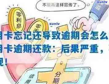 信用卡逾期清零：了解严重后果并采取措避免信用损失