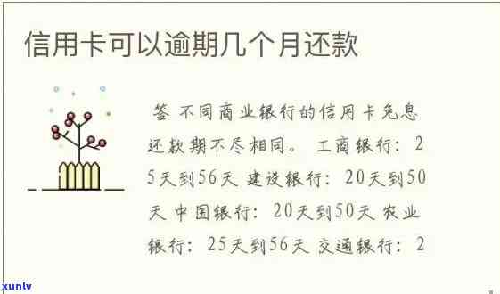 信用卡逾期后的结清策略与时间计算 *** 