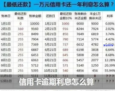 哀牢山老树普洱茶的价格、品质及购买指南，了解这款茶叶的全方位信息