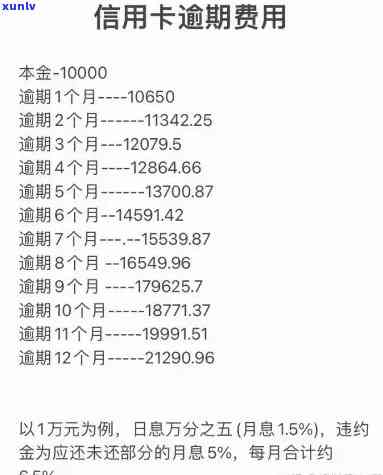 建行信用卡逾期利息详细解析：计算方式、影响及如何避免逾期