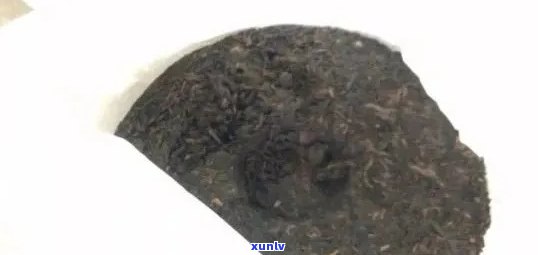 虫屎普洱茶柱能喝吗？形状如何？功效与作用有哪些？