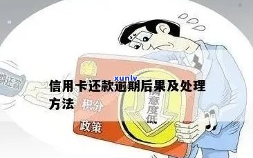 新信用卡逾期还款攻略，如何解决逾期难题？