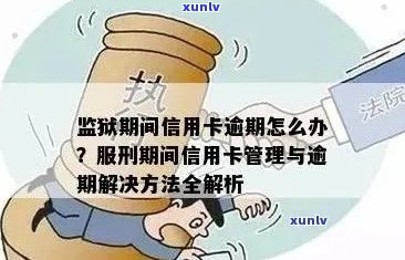 信用卡逾期怎么办？分期还款、坐牢期间、服刑人员、人进去了等问题解答。