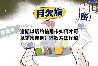 已逾期怎么还款信用卡？逾期后如何正常使用并偿还欠款？