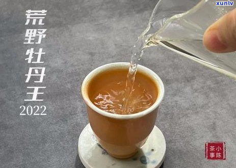 普洱茶与红茶的独特区别：产地、 *** 工艺和口感对比