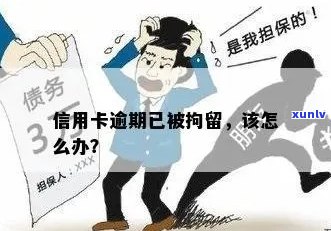 新信用卡逾期还款被拘留，如何应对？