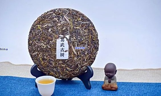 氏普洱茶500克：品质保证，口感独特，购买指南与冲泡 *** 详解