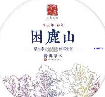 探索困鹿山普洱茶的价值：一斤的价格与品质分析